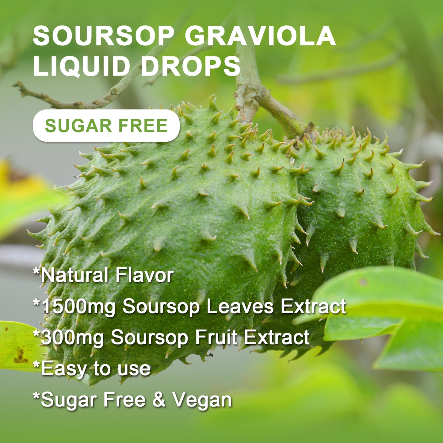 (2 Pack) Soursop Graviola Liquid Drops - 1800mg Soursop Extract - High Absorption Soursop Bitters Liquid for Cell Support & Regeneration, Immune Support, Antioxidant, Relaxation, Sugar Free - 1 Fl Oz