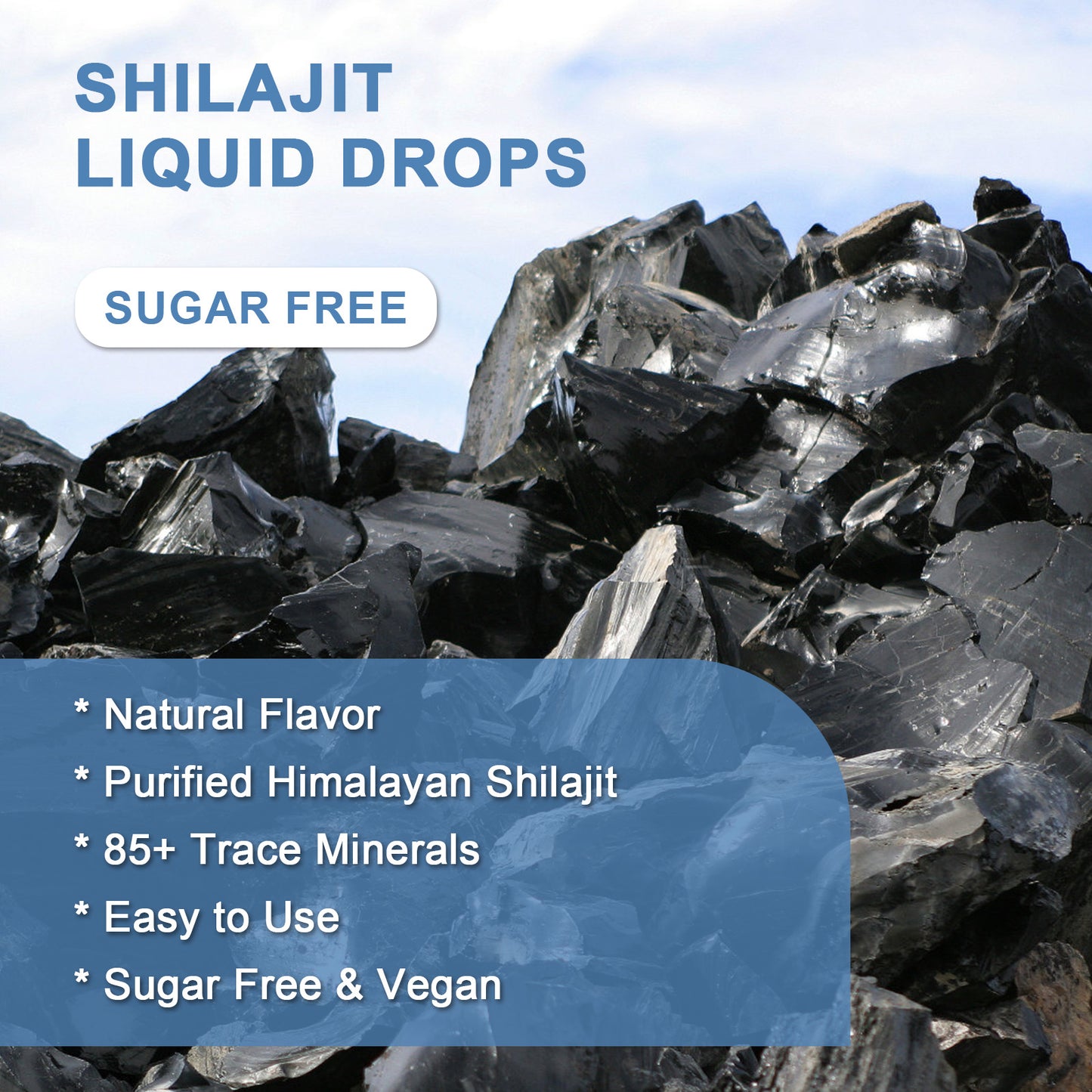 (2 Pack) Pure Himalayan Shilajit Liquid Supplement - Shilajit Resin Drops Contain 85+ Trace Minerals & Fulvic Acid for Energy & Immune Support, Detox, Cleanse for Men & Women - 1 Fl Oz