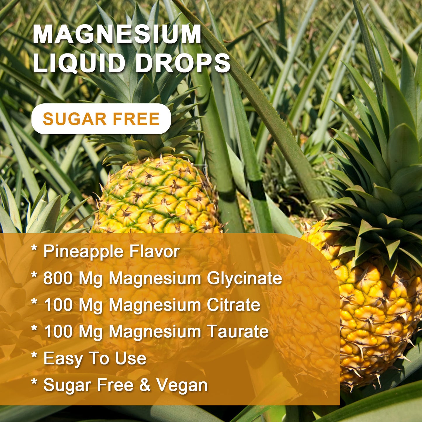 (2 Pack) Magnesium Glycinate Liquid Drops with Citrate & Taurate - High Absorption 1000mg Liquid Magnesium Complex with D3, GABA, L-theanine for Cognition, Calm, Mood & Sleep, Pineapple Flavor - 30mL