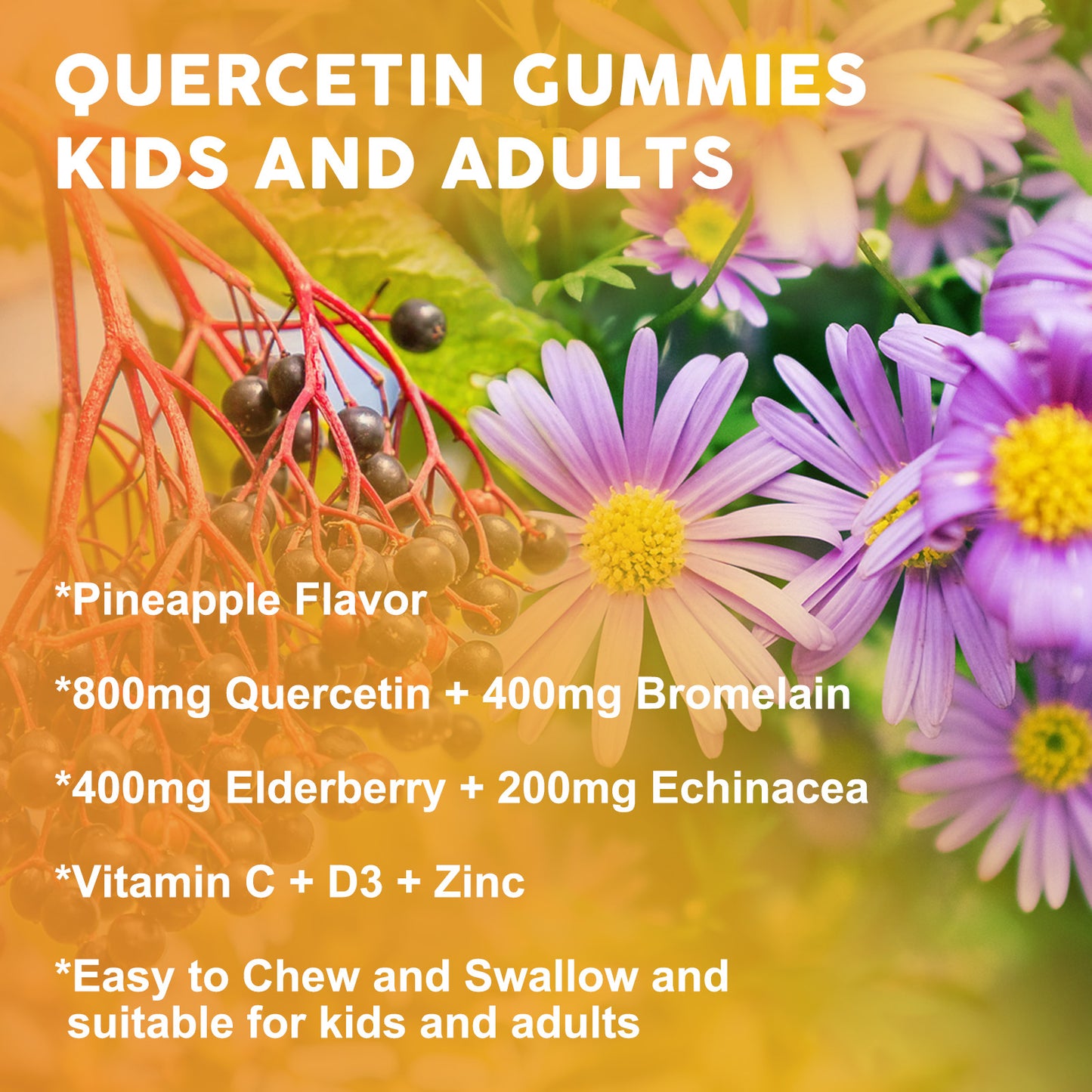 (1pack) Quercetin Gummies for Adults & Kids - 800mg Quercetin with Bromelain, Zinc, Elderberry, Vitamin C & D3 - lmmune & Seasonal Wellness Support - Sugar Free, Vegan, Pineapple Flavor - 60 Gummies