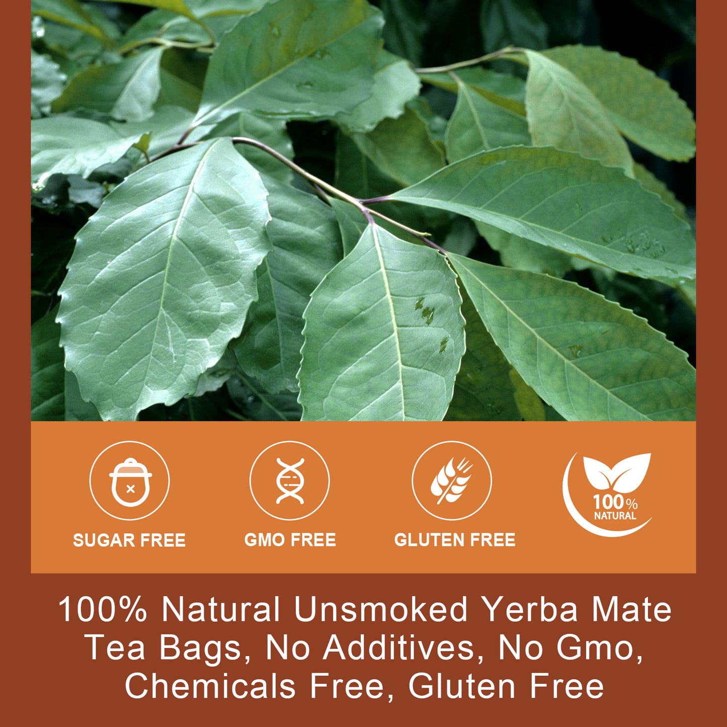 Yerba Mate Tea - Unsmoked Yerba Mate Herbal Tea Bags for Antioxidant, Detox, Digestion and Immune Support, Boost Energy - 30 Tea Bags