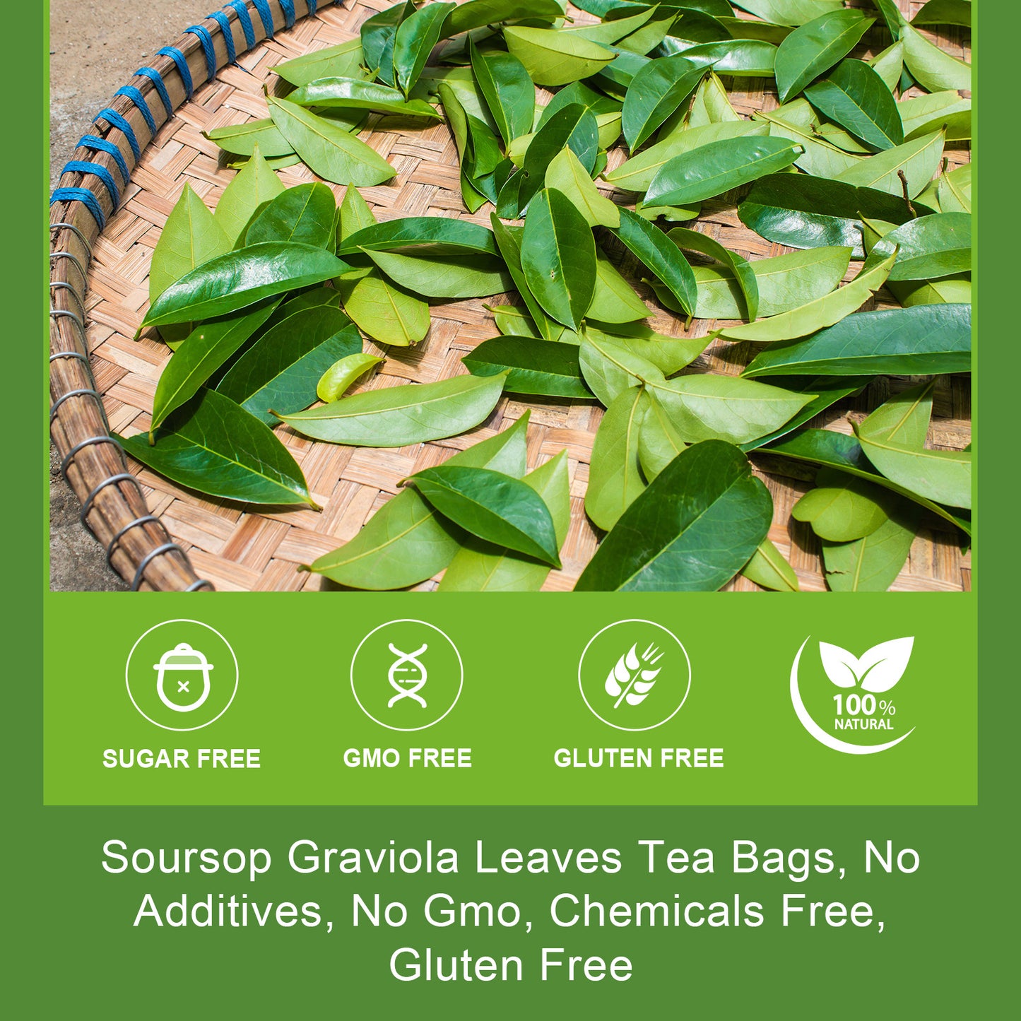 Natural Soursop Leaves Tea - Dried Soursop Graviola Leaves Herbal Tea bags for Immune Support, Antioxidant - Guanabana Leaves - Caffeine Free - 30 Tea Bags