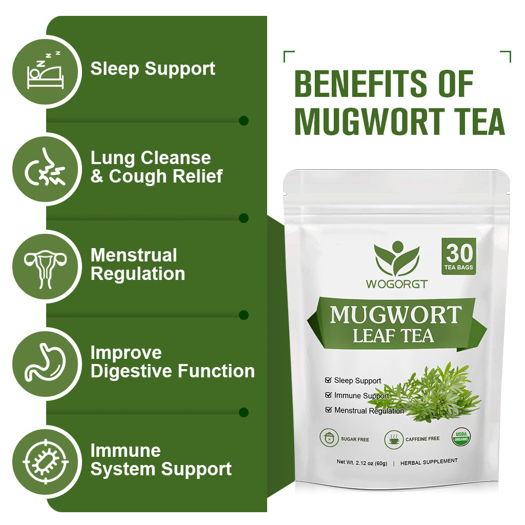 Mugwort Tea - Organic Mugwort Herb Tea, Dried Mugwort Tea Bags for Immune Support and Sleep Better, Caffeine Free - 30 Tea Bags