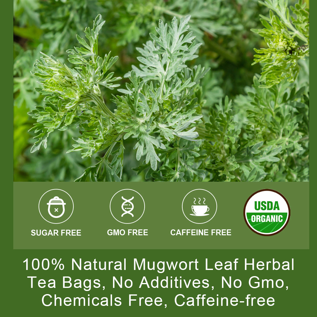 Mugwort Tea - Organic Mugwort Herb Tea, Dried Mugwort Tea Bags for Immune Support and Sleep Better, Caffeine Free - 30 Tea Bags