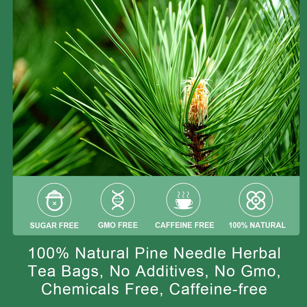 Organic Dried Pine Needle Tea Bags - Pine Needle Herbal Tea for Immune Support & Antioxidant, Caffeine Free, Natural Suramin - 30 Tea bags